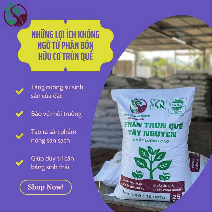 CÔNG TY CỔ PHẦN TẬP ĐOÀN ĐẦU TƯ THÁI HÒA
